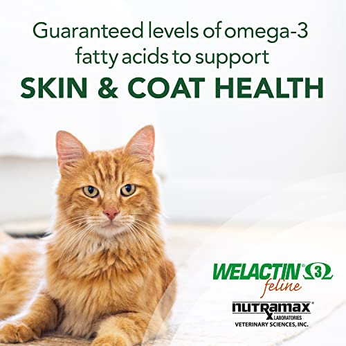 Foto 4 pulgar | Suplemento Nutramax Welactin Omega-3 De Aceite De Pescado Para Gatos 120 Ml - Venta Internacional.