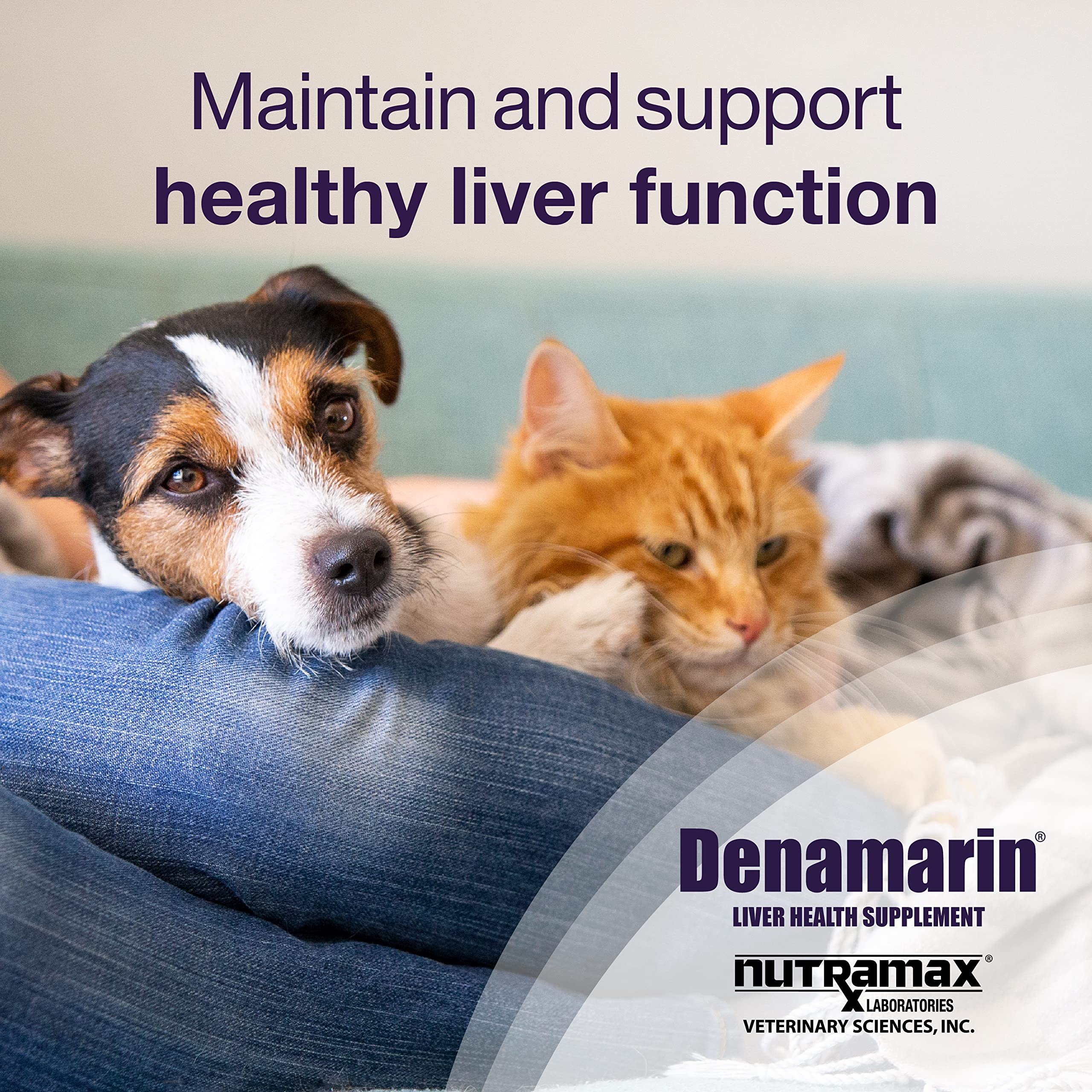Foto 3 pulgar | Suplemento Nutramax Laboratories Denamarin Liver Health 30 Comprimidos - Venta Internacional.