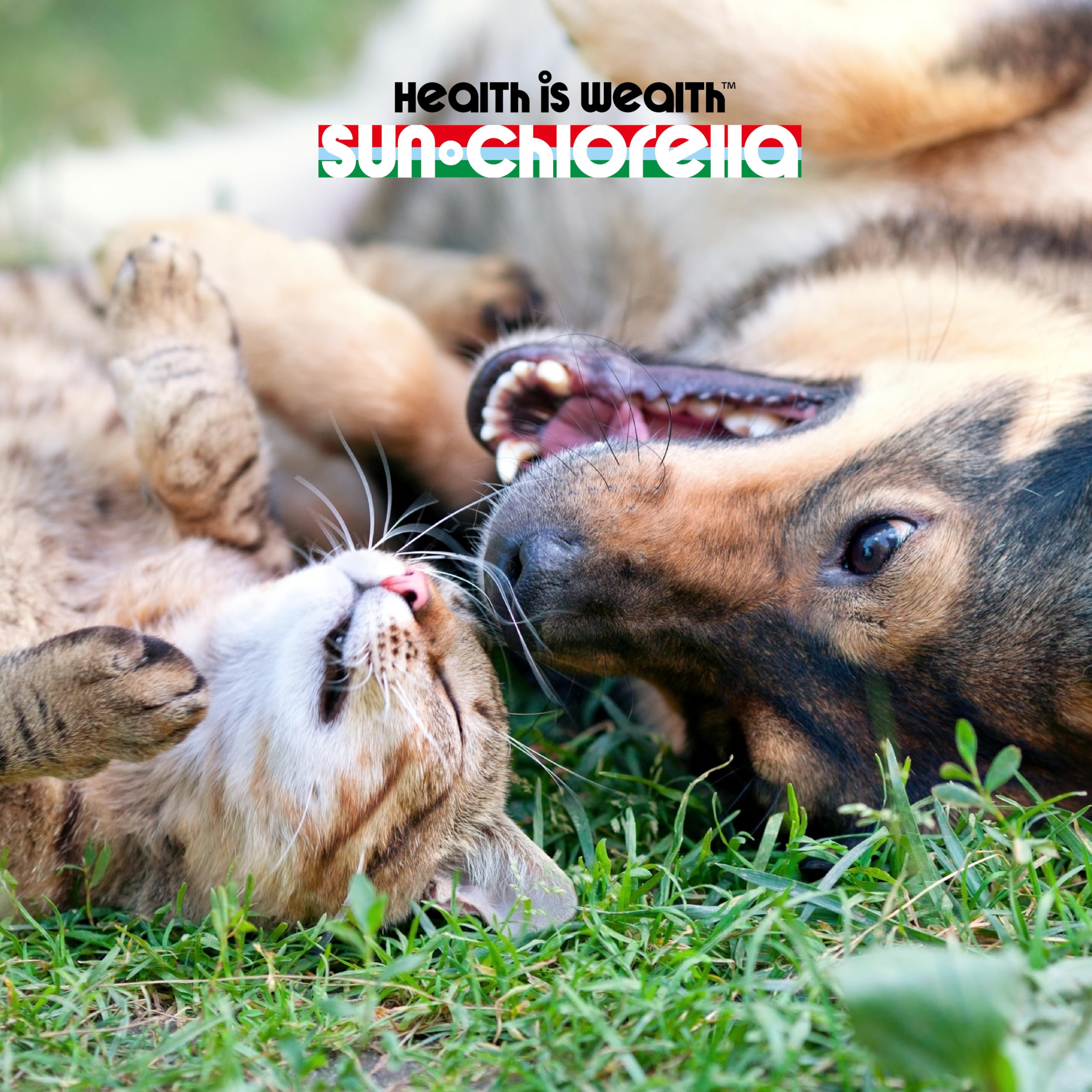 Foto 5 | Suplemento Sun Chlorella Sun Pet Treats, Superalimento Verde - Venta Internacional.