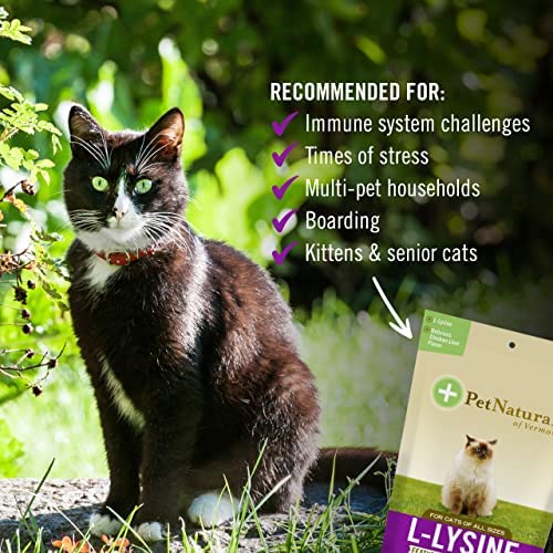 Foto 4 pulgar | Suplemento De Lisina Para Gatos De Pet Naturals, 60 Unidades Masticables - Venta Internacional.