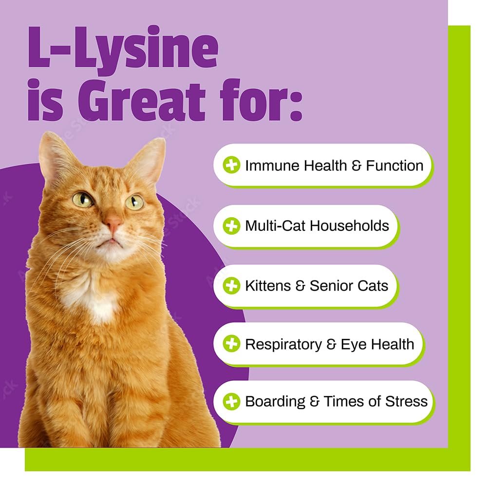 Foto 4 | Suplemento De Lisina Para Gatos De Pet Naturals, 60 Unidades Masticables - Venta Internacional.