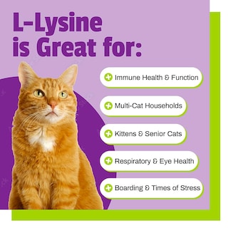 Foto 4 | Suplemento De Lisina Para Gatos De Pet Naturals, 60 Unidades Masticables - Venta Internacional.