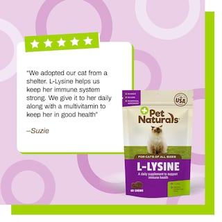 Foto 7 | Suplemento De Lisina Para Gatos De Pet Naturals, 60 Unidades Masticables - Venta Internacional.