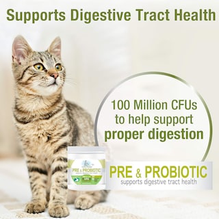 Foto 3 | Suplementos Four Paws Healthy Promise Pre Y Probióticos Para Gatos, Masticables Blandos, 90 Unidades - Venta Interna