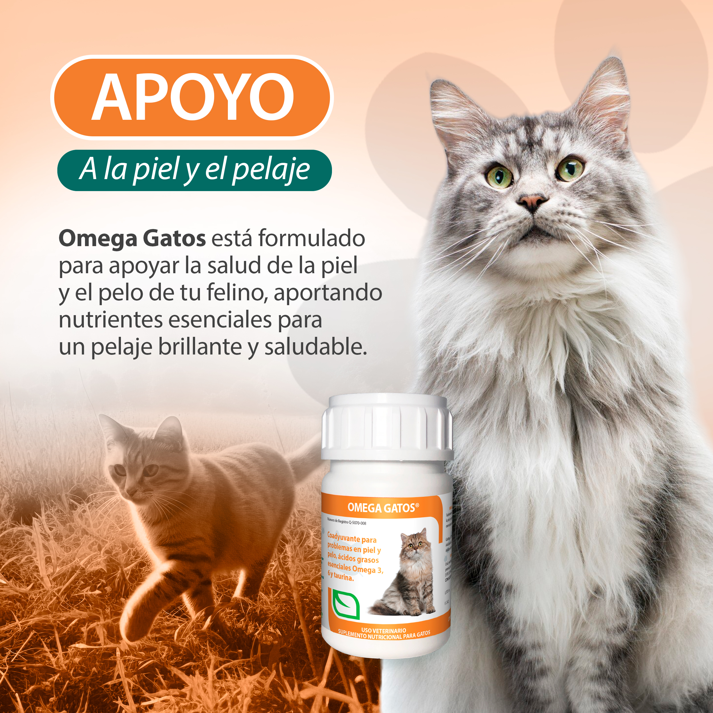 Foto 4 pulgar | Omega Gatos 60