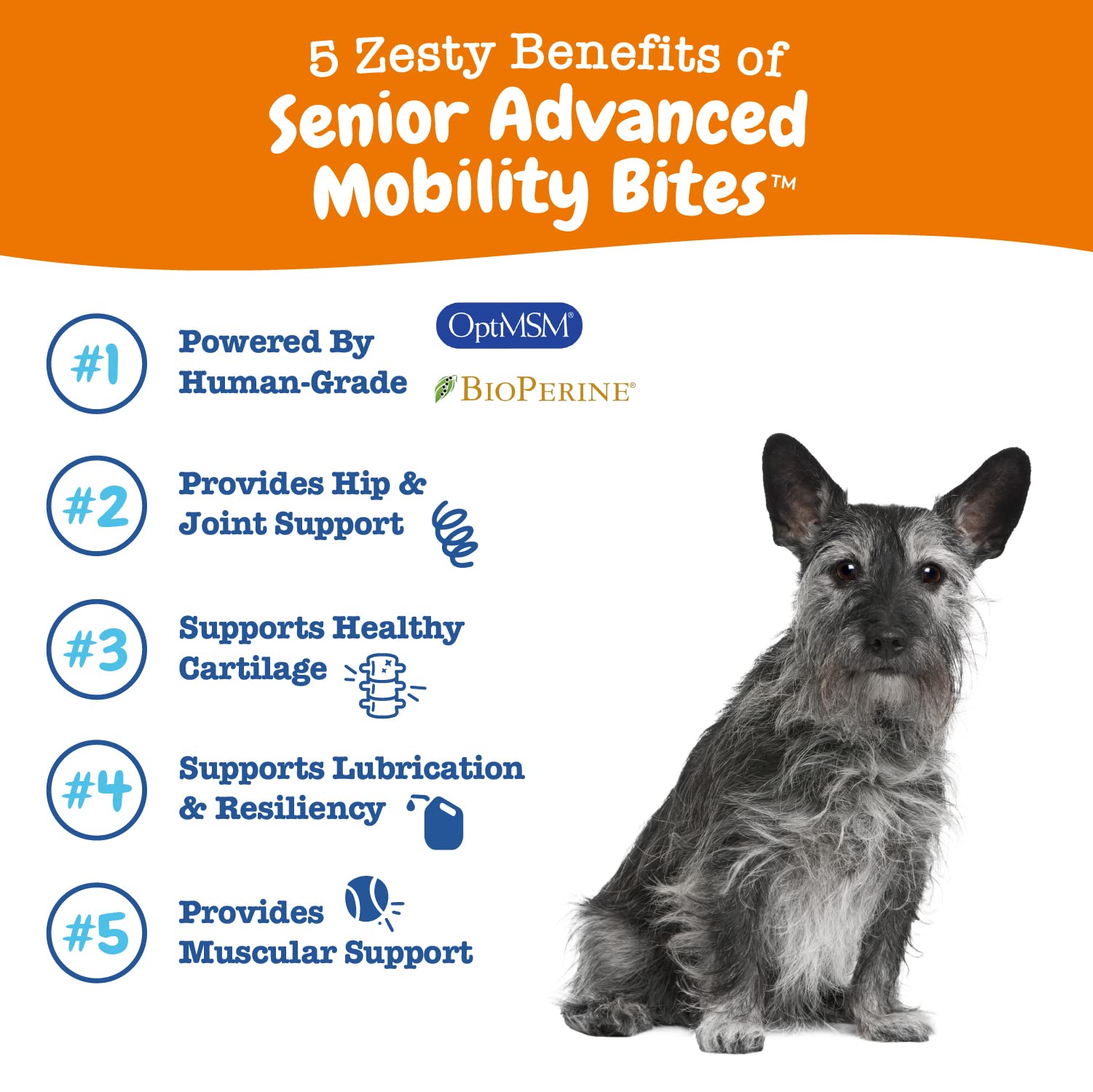 Foto 3 pulgar | Joint Supplement Zesty Paws Mobility Bites Para Perros, 90 Unidades - Venta Internacional.