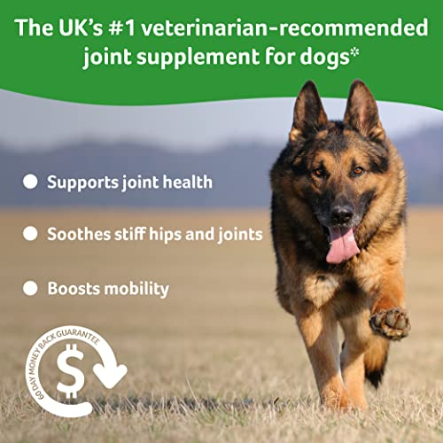 Foto 4 pulgar | Suplemento Lintbells Yumove Dog Joint 300 Bites - Venta Internacional.