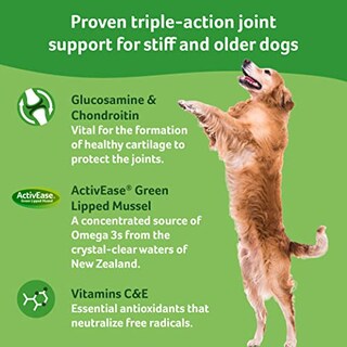 Foto 5 | Suplemento Lintbells Yumove Dog Joint 300 Bites - Venta Internacional.