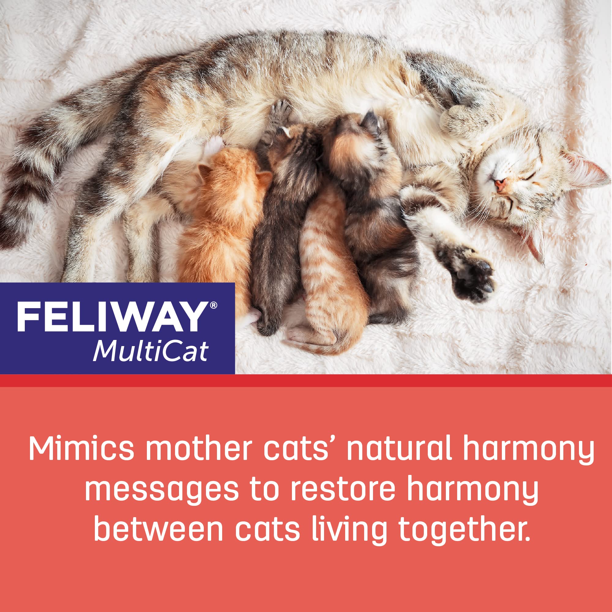 Foto 3 | Recambio Para Feromona Calmante Feliway Multicat, Suministro Para 30 Días - Venta Internacional.