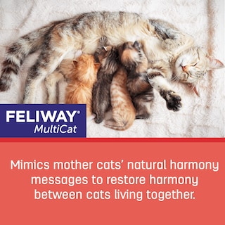 Foto 3 | Recambio Para Feromona Calmante Feliway Multicat, Suministro Para 30 Días - Venta Internacional.