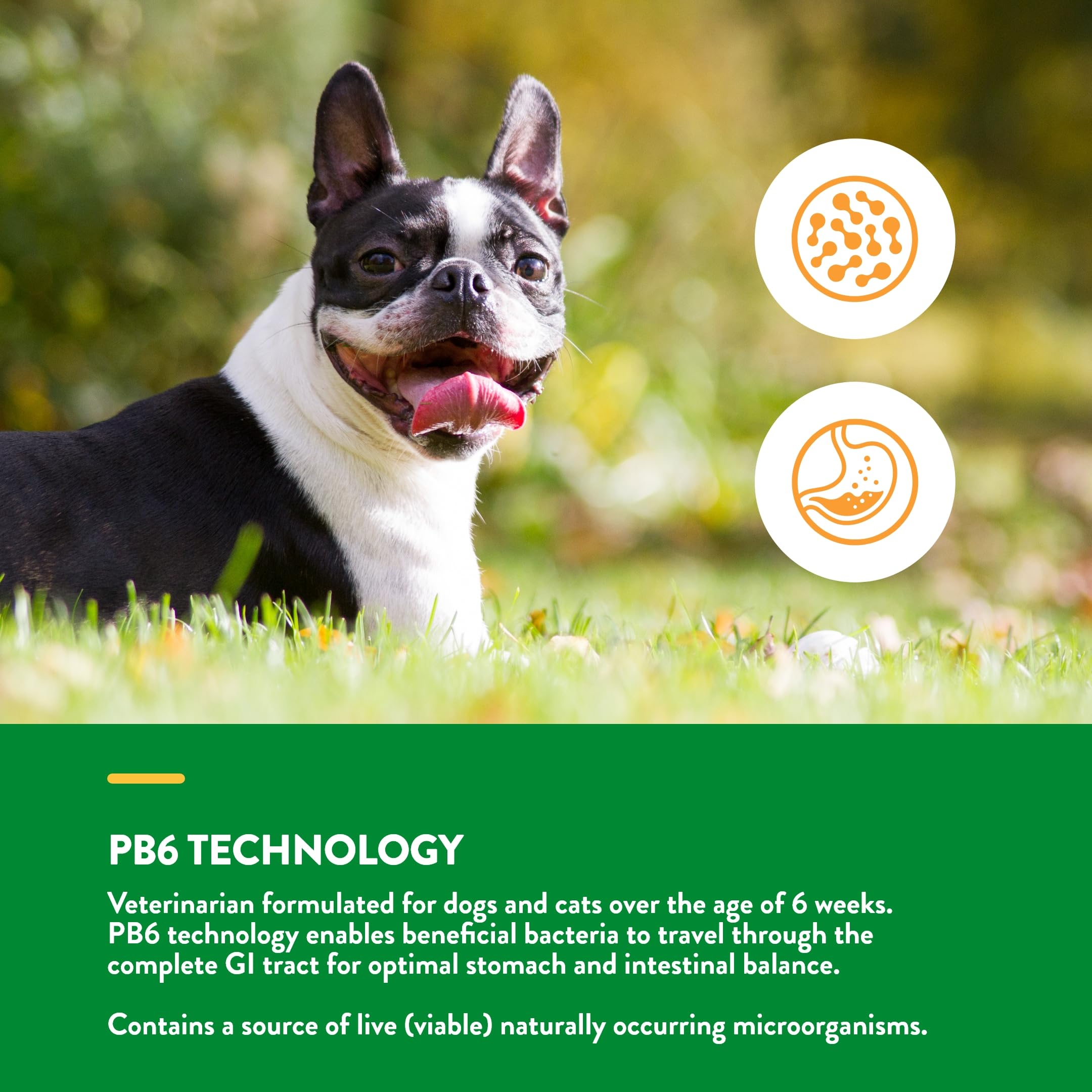 Foto 5 pulgar | Suplemento Naturvet Advanced Con Probióticos Y Enzimas Para Mascotas - Venta Internacional.