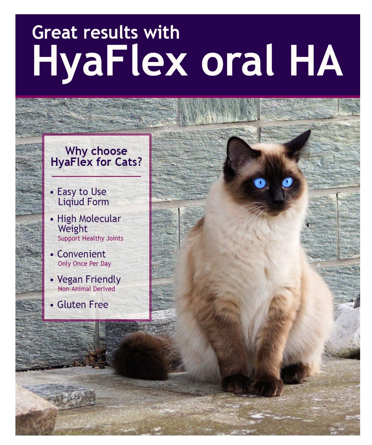 Foto 5 pulgar | Suplemento Para Articulaciones De Gato  Ácido Hialurónico Hyalogic Hyaflex  30 Ml - Venta Internacional.