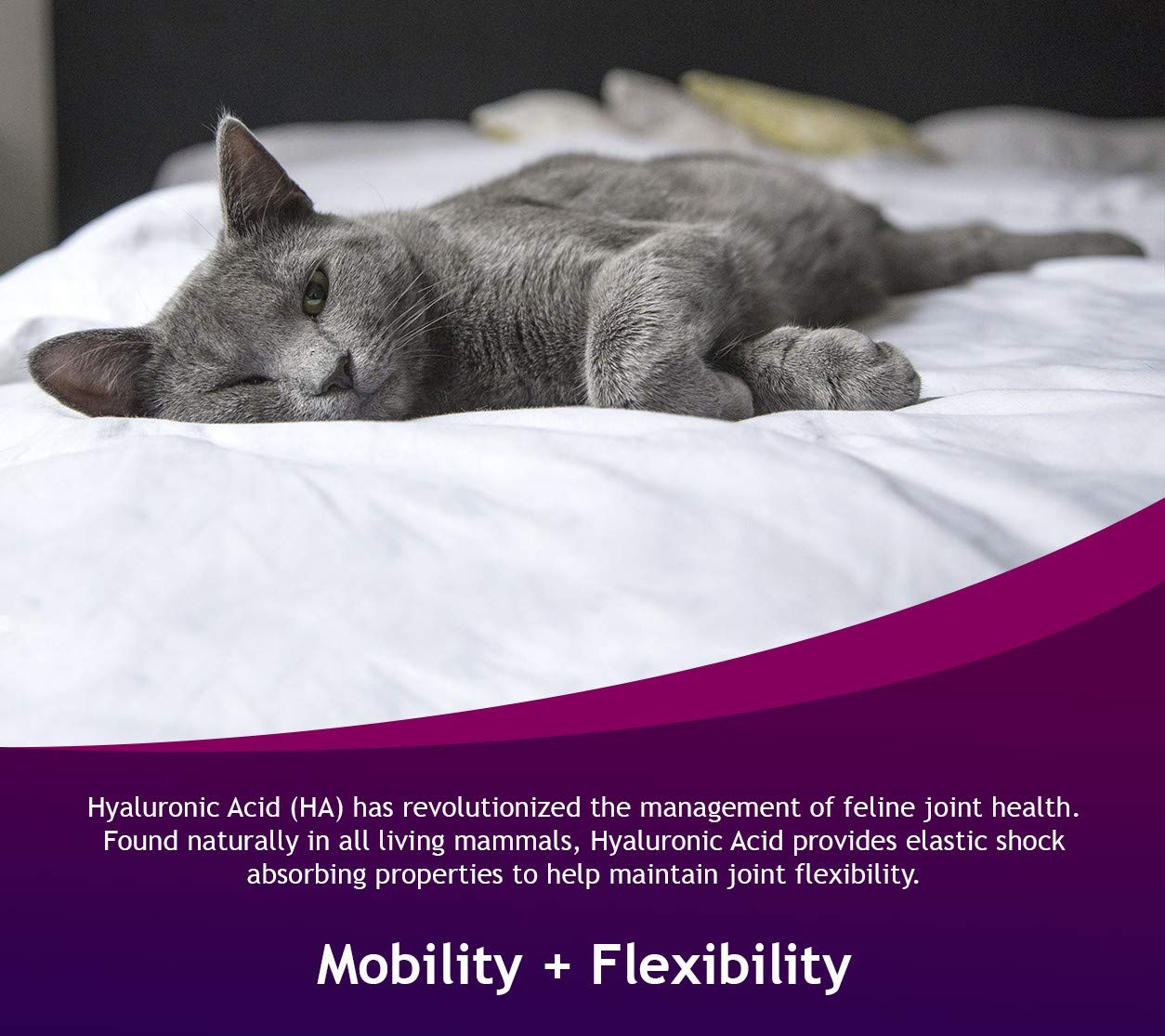 Foto 5 | Suplemento Para Articulaciones De Gato  Ácido Hialurónico Hyalogic Hyaflex  30 Ml - Venta Internacional.