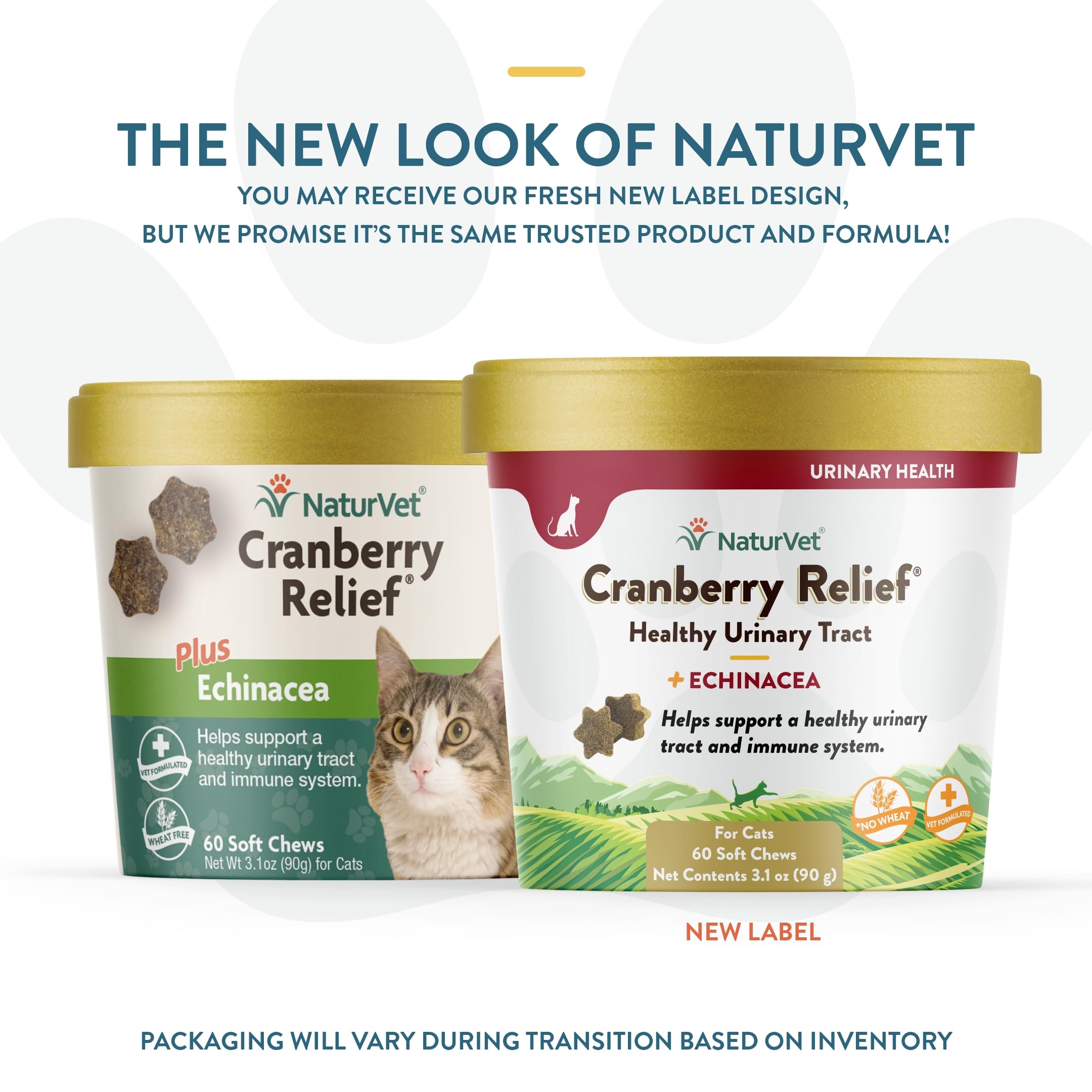 Foto 3 pulgar | Suplemento Naturvet Cranberry Relief Plus Echinacea Para Gatos - Venta Internacional.