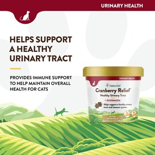 Foto 3 | Suplemento Naturvet Cranberry Relief Plus Echinacea Para Gatos - Venta Internacional.