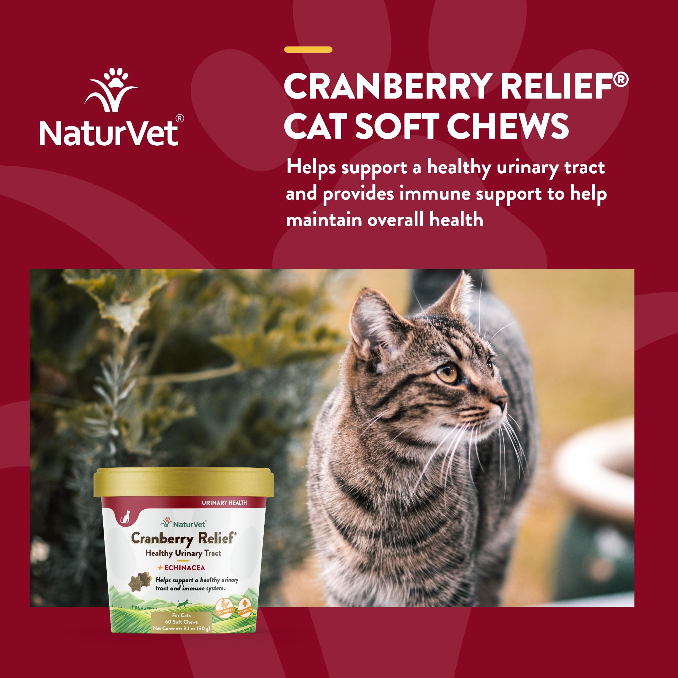 Foto 5 pulgar | Suplemento Naturvet Cranberry Relief Plus Echinacea Para Gatos - Venta Internacional.