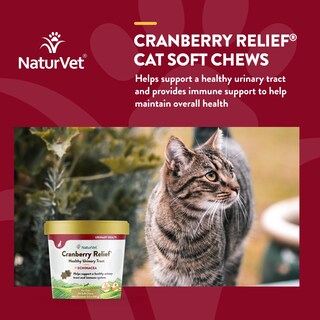 Foto 4 | Suplemento Naturvet Cranberry Relief Plus Echinacea Para Gatos - Venta Internacional.