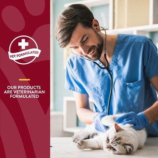 Foto 6 | Suplemento Naturvet Cranberry Relief Plus Echinacea Para Gatos - Venta Internacional.