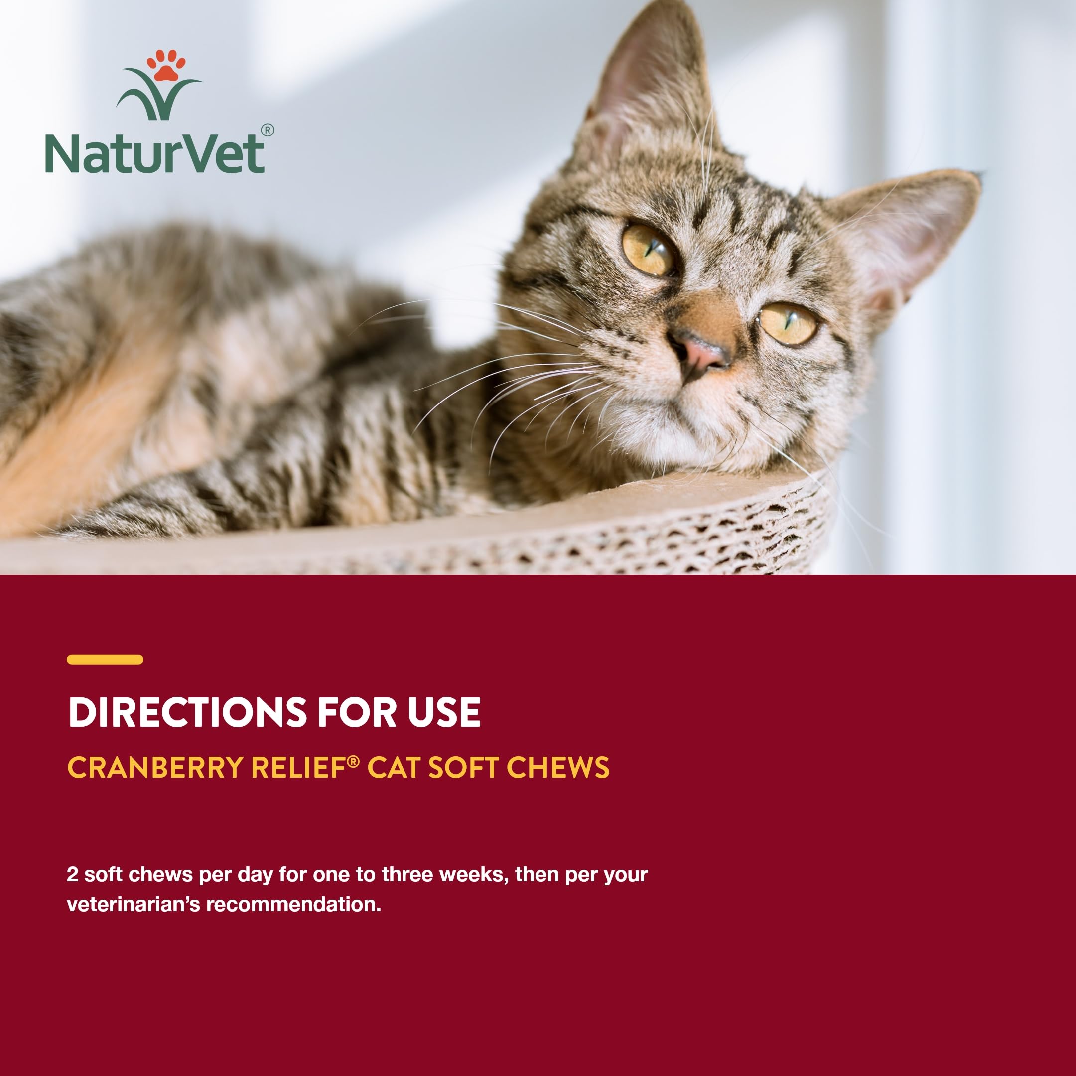 Foto 8 pulgar | Suplemento Naturvet Cranberry Relief Plus Echinacea Para Gatos - Venta Internacional.