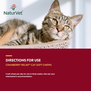Foto 7 | Suplemento Naturvet Cranberry Relief Plus Echinacea Para Gatos - Venta Internacional.