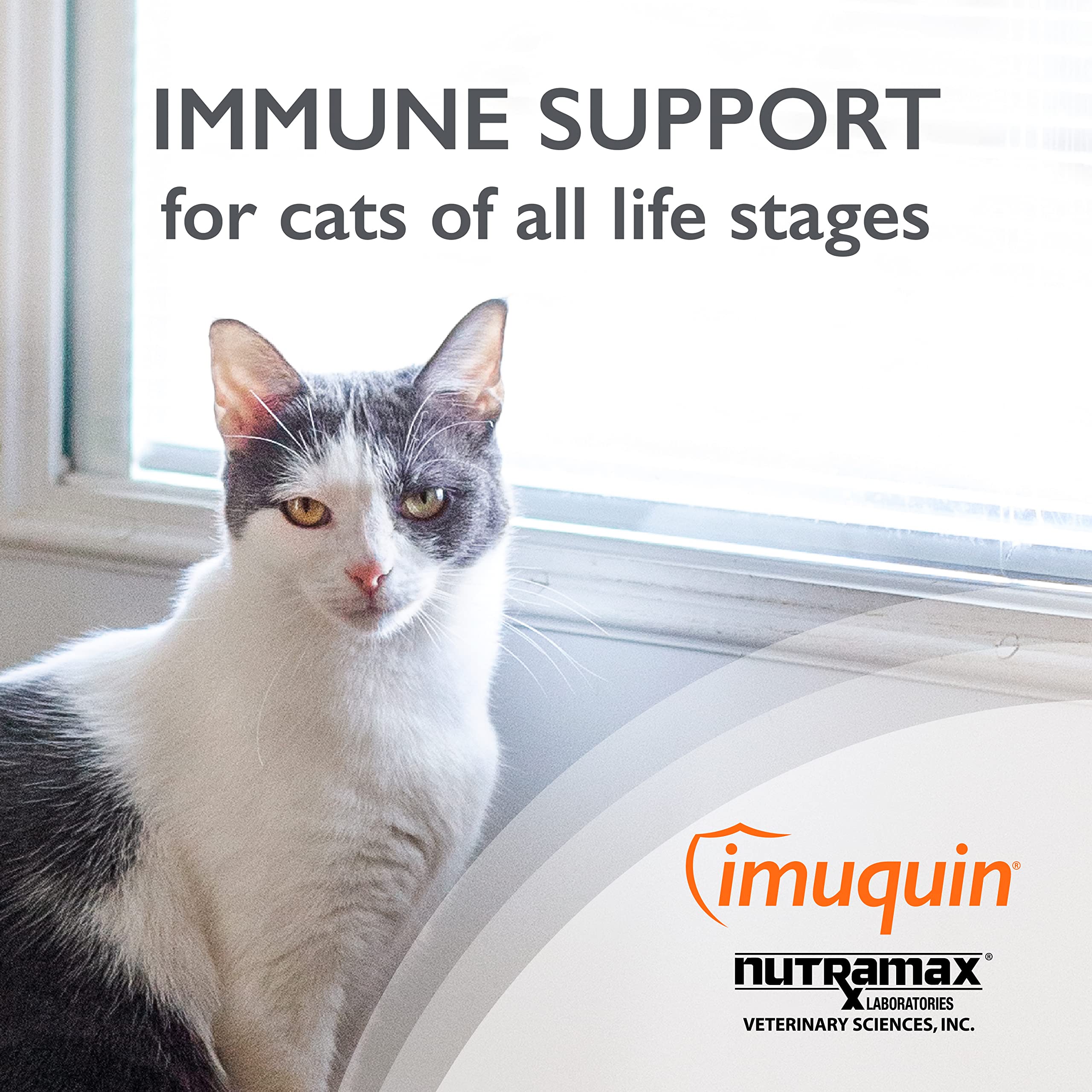Foto 3 pulgar | Suplemento Nutramax Imuquin Immune Health Para Gatos  30 Paquetes - Venta Internacional.