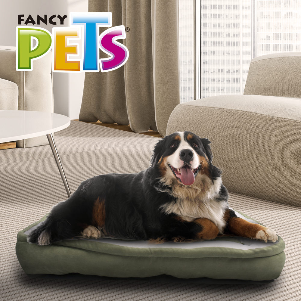 Foto 4 pulgar | Cama Fancy Pets TX10105 Rectangular Tamaño Extra Grande Varios Colores para Perro