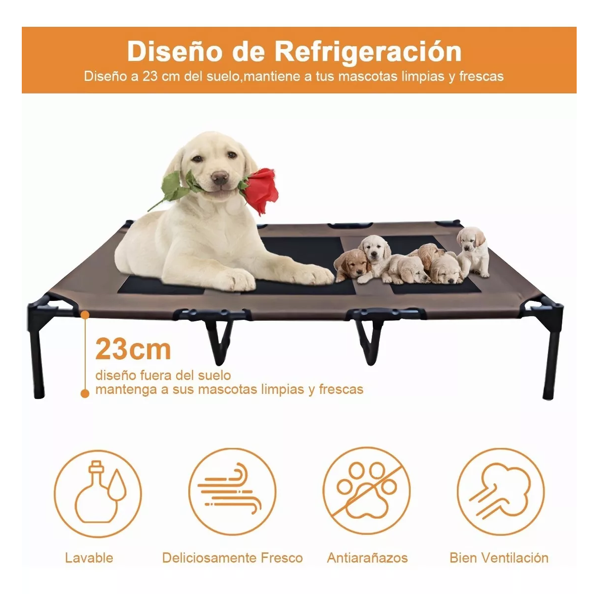 Foto 5 pulgar | Cama Elevada con Toldo para Mascota Eo Safe Imports Esi-12214 Marrón