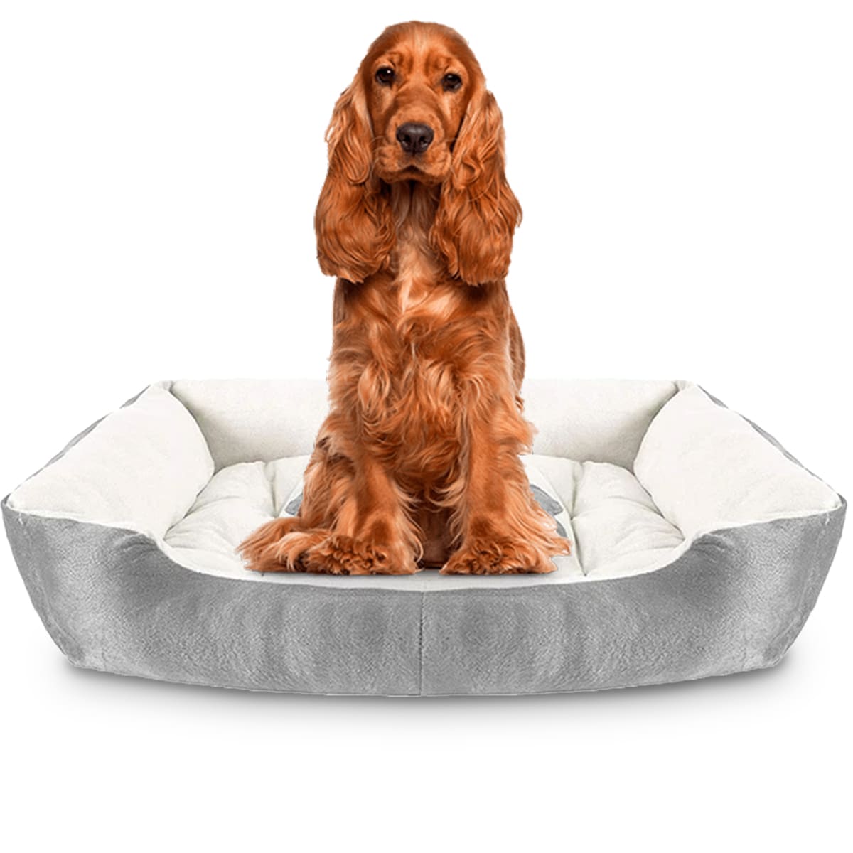 Cama Suave Cómoda Y Ligera Antiestrés para Perro $399