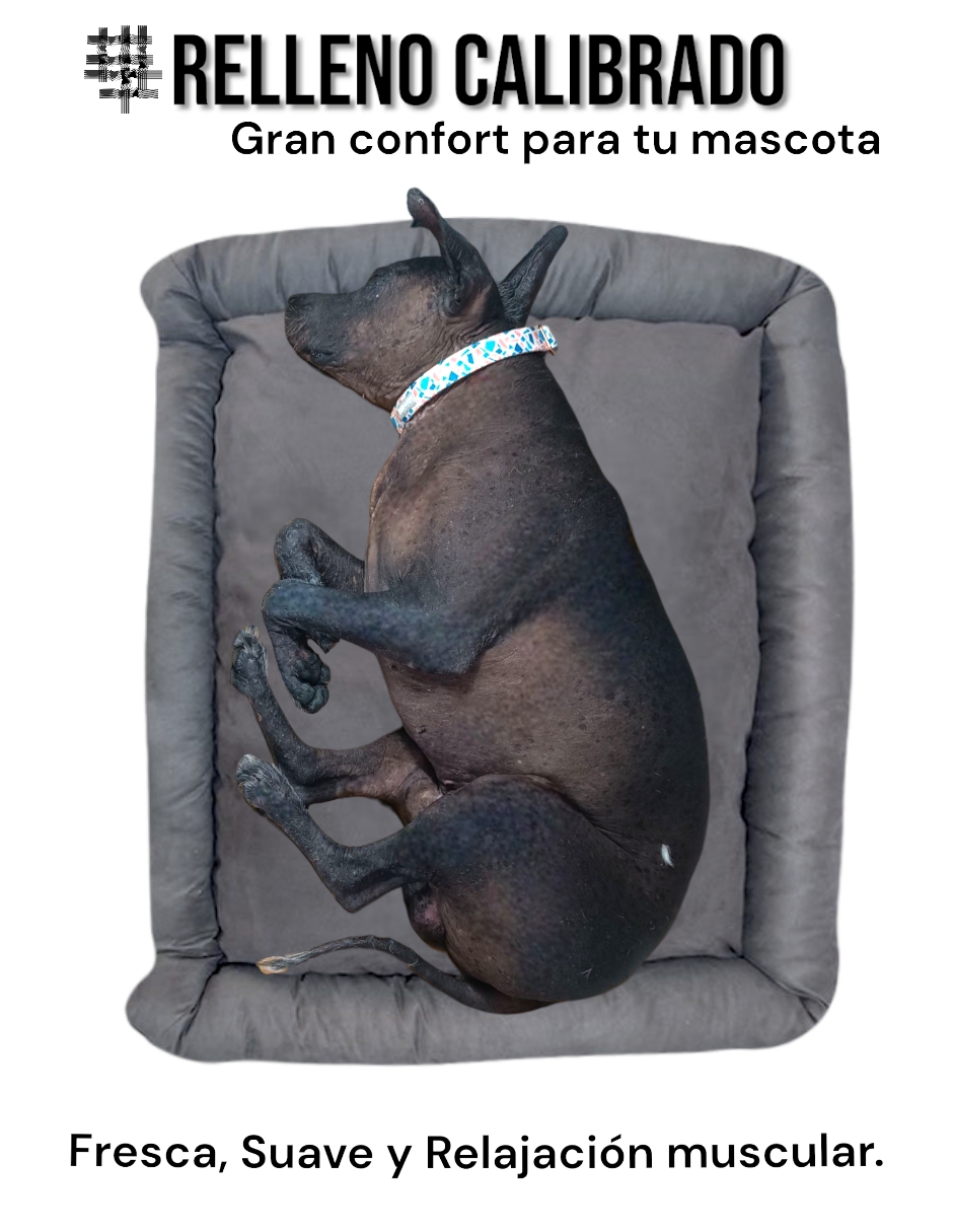 Foto 5 pulgar | Cama Rectangular de Lujo Lunics Jumbo Gris Oxford