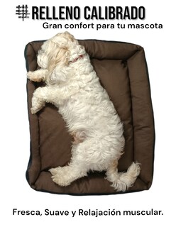 Foto 4 | Cama Rectangular de Lujo Lunics Grande color Cocoa