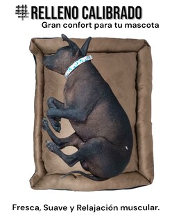 Foto 4 | Cama Rectangular de Lujo Lunics Marrón Chica