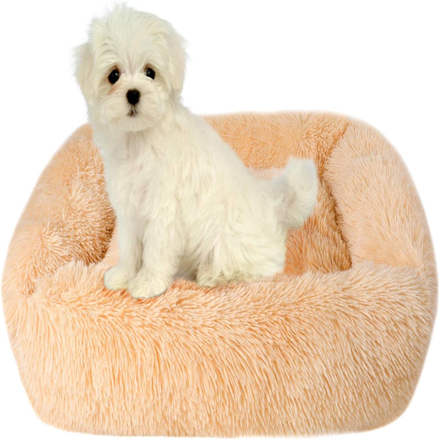 Cama Para Perros Xinest Para Perros Pequeños Y Medianos 55x45x20 Cm