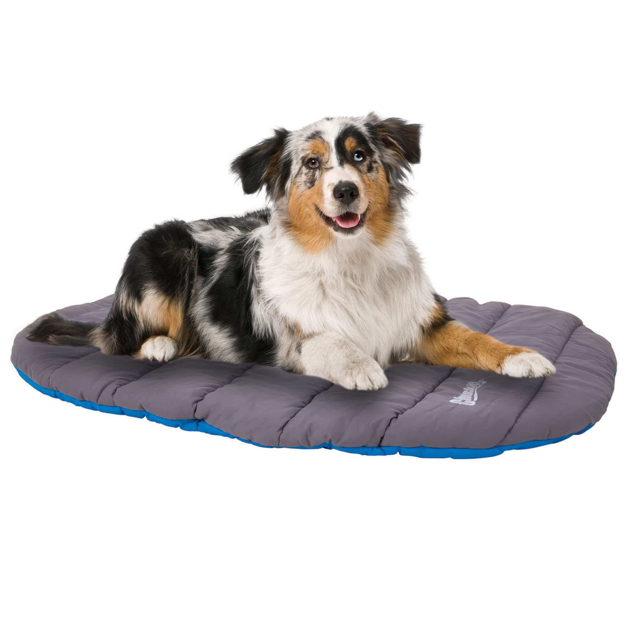 Foto 7 pulgar | Cama De Viaje Para Perros Chuckit! Resistente Al Agua, Azul, 39 De Largo X 30 De Ancho - Venta Internacional.