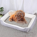 Jaula Para Mascotas Con Baños Para Pájaros Y Alfombrilla Para Perros Y Gatos - Venta Internacional.