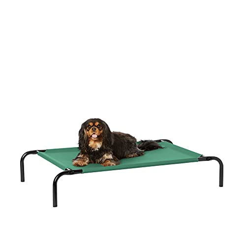 Foto 2 pulgar | Cama Para Mascotas Amazon Basics Cooling Elevated Small Green - Venta Internacional.