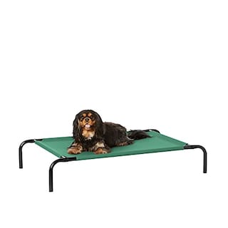 Foto 1 | Cama Para Mascotas Amazon Basics Cooling Elevated Small Green - Venta Internacional.