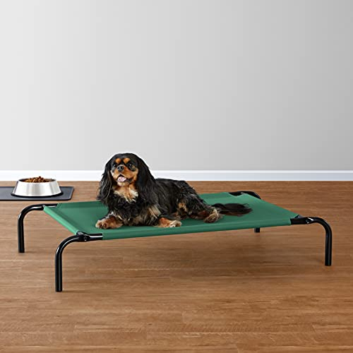 Foto 7 pulgar | Cama Para Mascotas Amazon Basics Cooling Elevated Small Green - Venta Internacional.