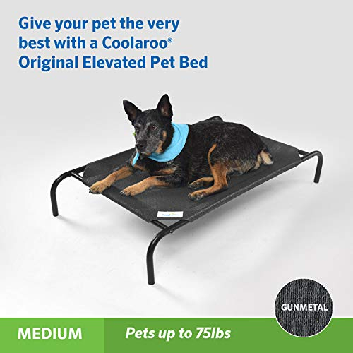 Foto 5 pulgar | Cama Para Mascotas Coolaroo The Original Cooling Elevated Gunmetal M - Venta Internacional.