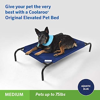 Foto 4 | Cama Para Mascotas Coolaroo The Original Cooling Elevated Azul Medio - Venta Internacional.