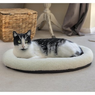 Foto 2 | Cama Para Perros Huoguo Cat Snoozer, Tamaño Grande, Forro Polar Sintético, Color Crema - Venta Internacional.