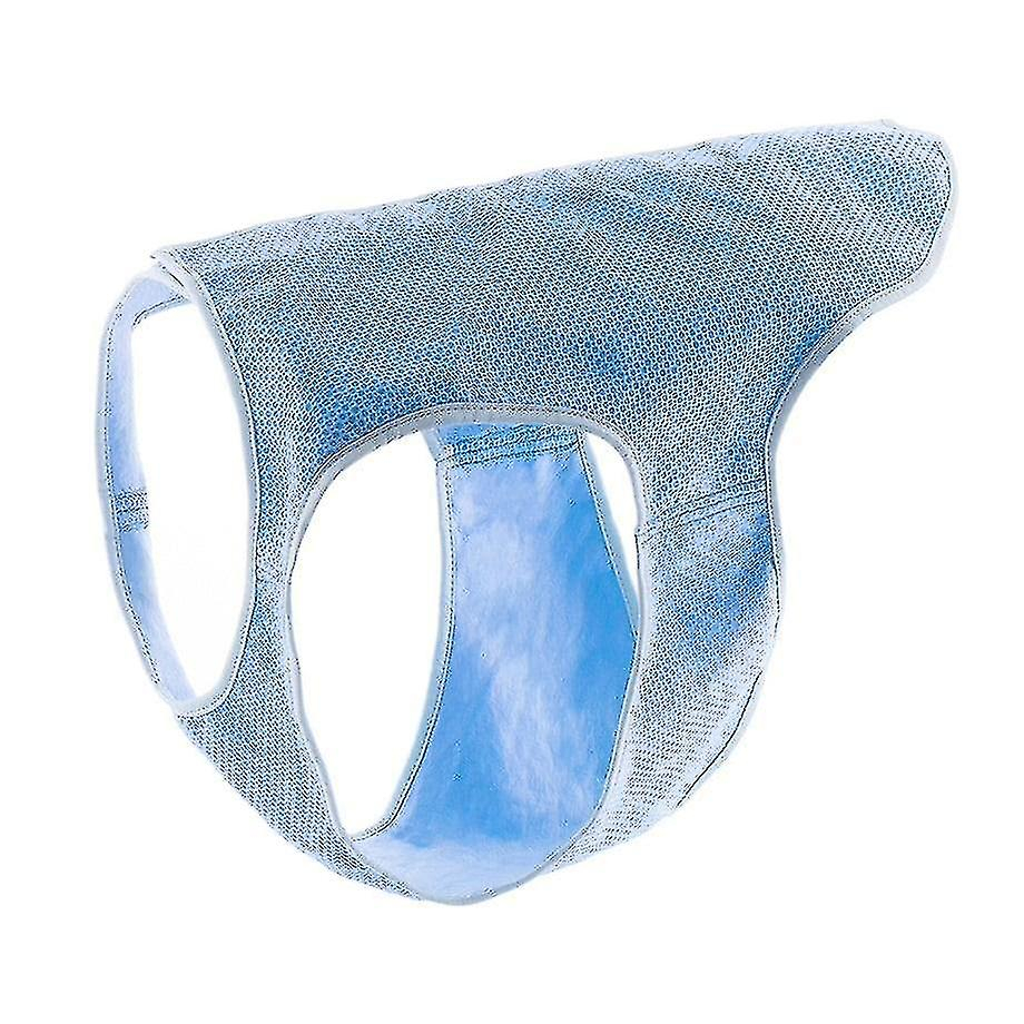 Chaleco Refrescante Para Perros Huoguo Talla M Azul - Venta Internacional.
