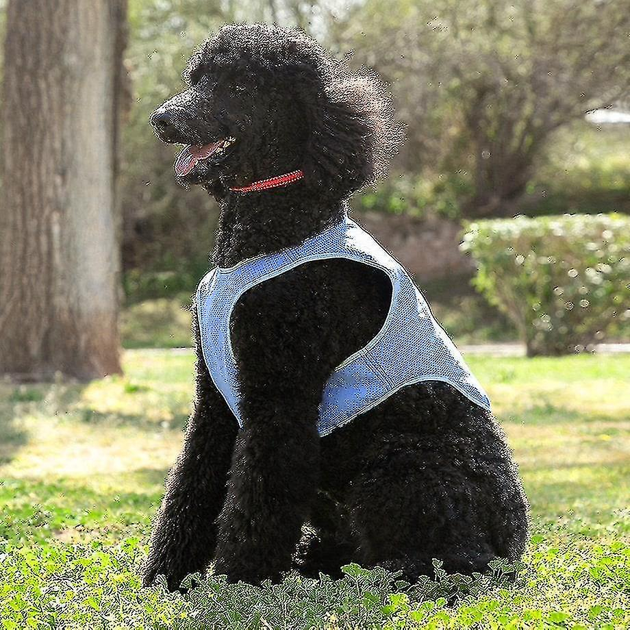 Foto 3 pulgar | Chaleco Refrescante Para Perros Huoguo Talla M Azul - Venta Internacional.