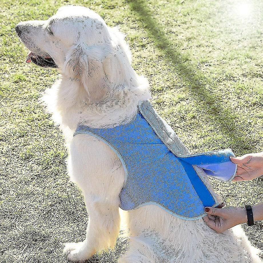 Foto 5 pulgar | Chaleco Refrescante Para Perros Huoguo Talla M Azul - Venta Internacional.