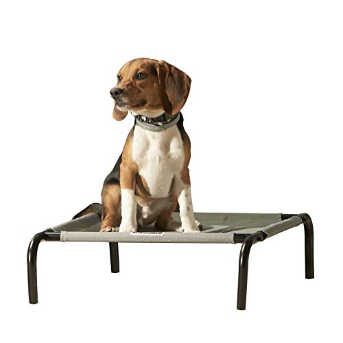 Cama Para Perros Franklin Pet Supply, Malla Transpirable Elevada - Venta Internacional.