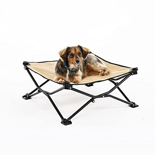 Cama Elevada Para Mascotas Coolaroo On The Go Standard Desert Sand - Venta Internacional.