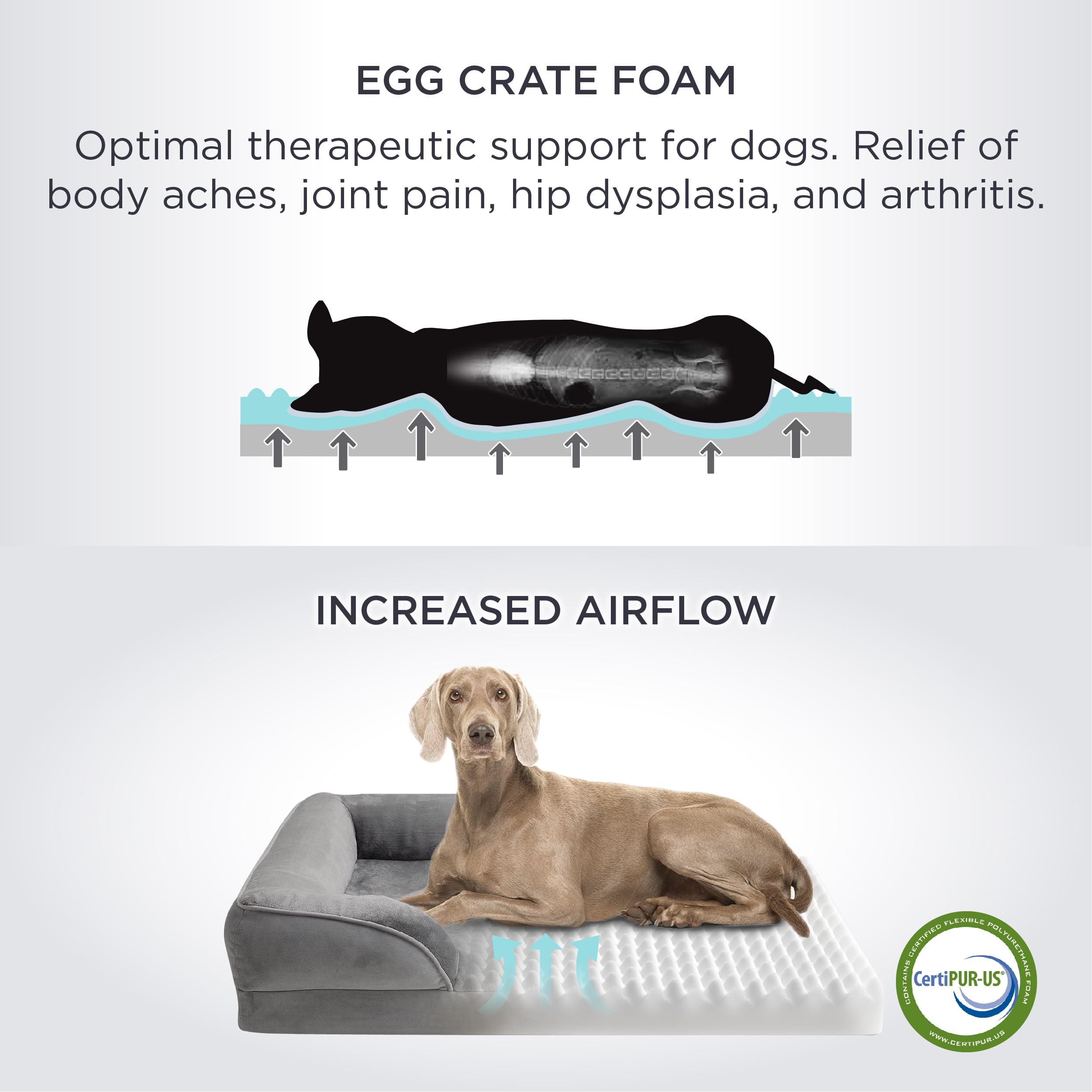Foto 3 pulgar | Cama Ortopédica Para Perros, Pequeña, Lavable Con Tendedero Impermeable - Venta Internacional.