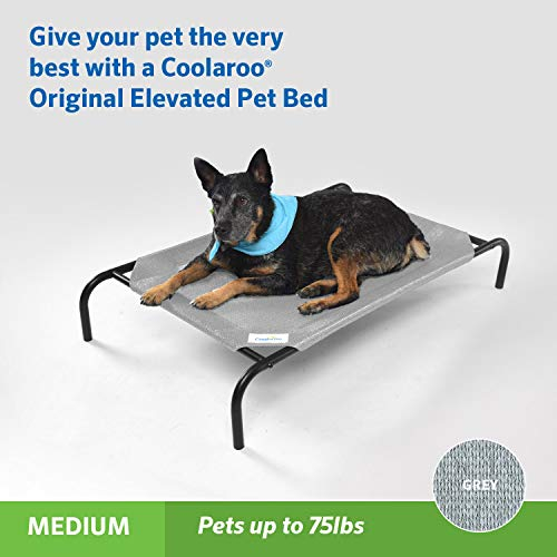Foto 3 pulgar | Cama Para Mascotas Coolaroo The Original Cooling Elevated Grey Medium - Venta Internacional.