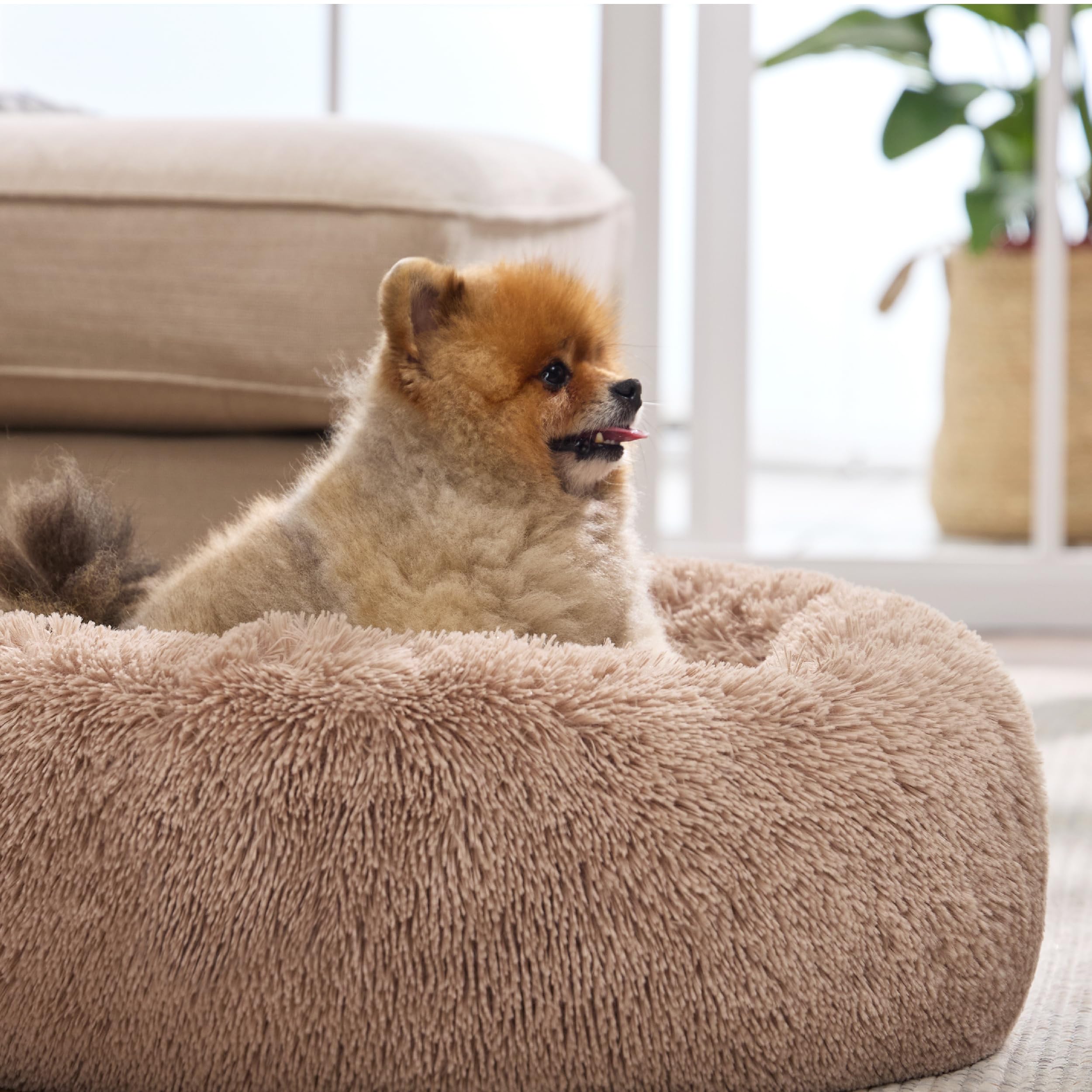 Foto 8 pulgar | Cama Para Perros Bedsure Calming Donut, Lavable Para Perros Pequeños - Venta Internacional.