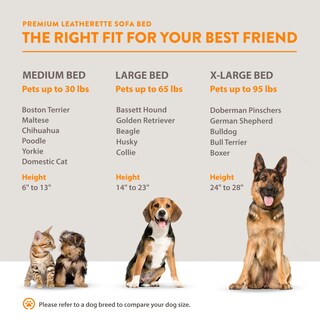 Foto 5 | Cama para Mascotas con Funda Extraible 2 Almohadas 1 Bolster