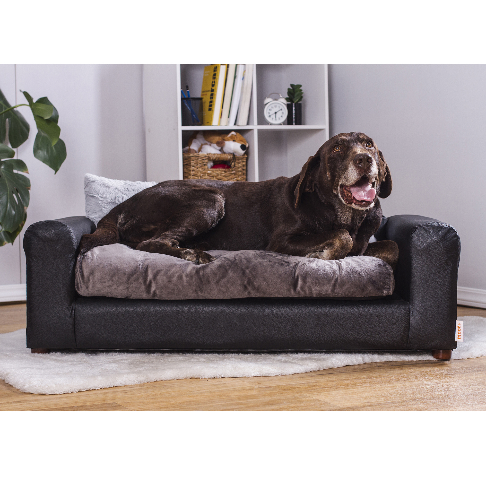 Cama Para Mascotas Modelo Let109l2 Con Funda Extraible, Resistente Al Agua, Patas Desmontables